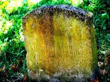 image of grave number 196904